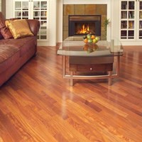 Exotic Prefinished Engineered Hardwood Flooring at Wholesale Prices